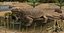 Extinct animals pack version 8
