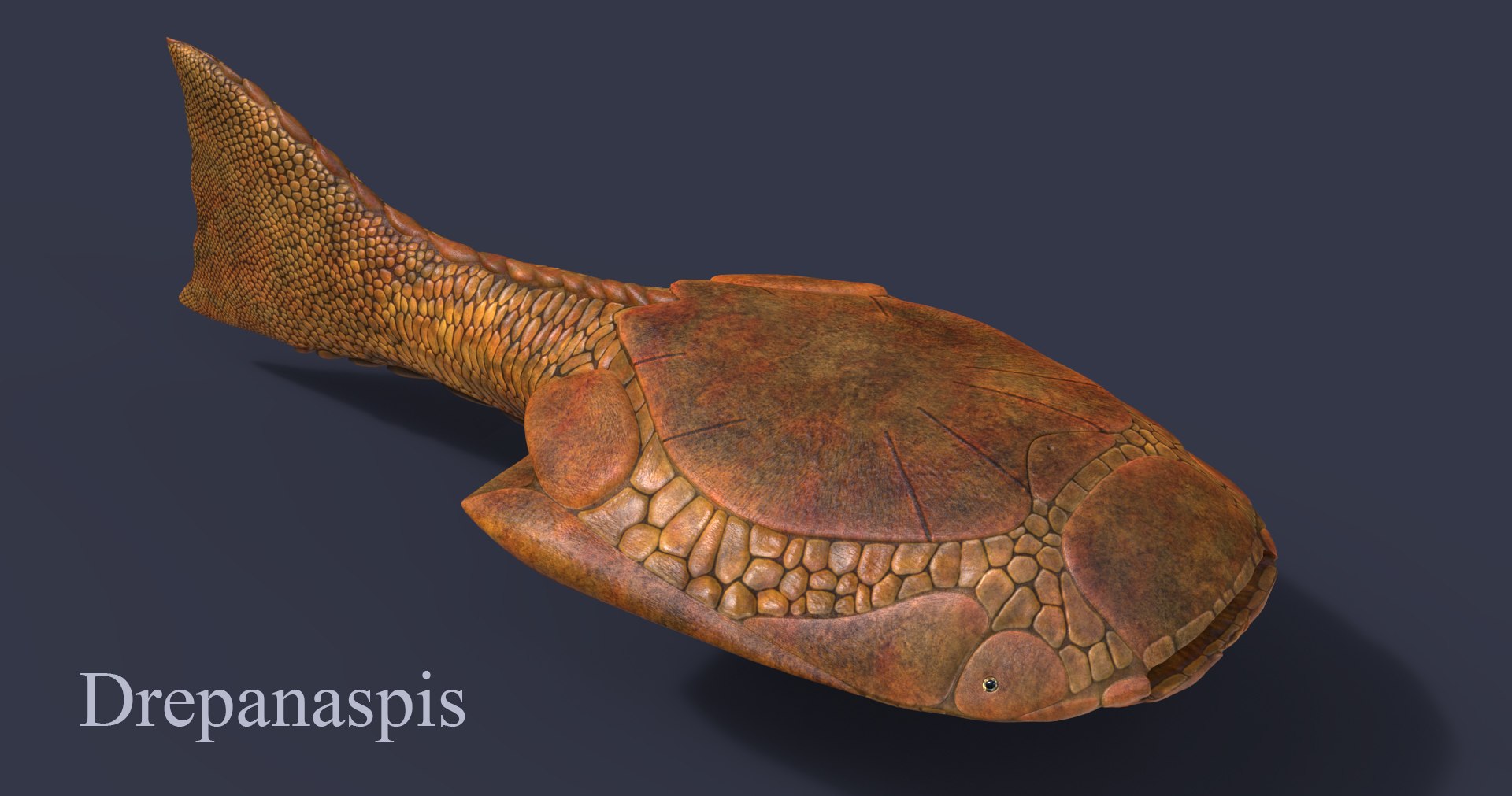 extinct animals version 8 3D https://p.turbosquid.com/ts-thumb/oA/UTm7l6/TyOU3RYZ/43/jpg/1585736010/1920x1080/fit_q87/4c2782ff5a38286db7b753aca7ea0d67b34b297e/43.jpg