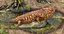 Extinct animals pack version 8