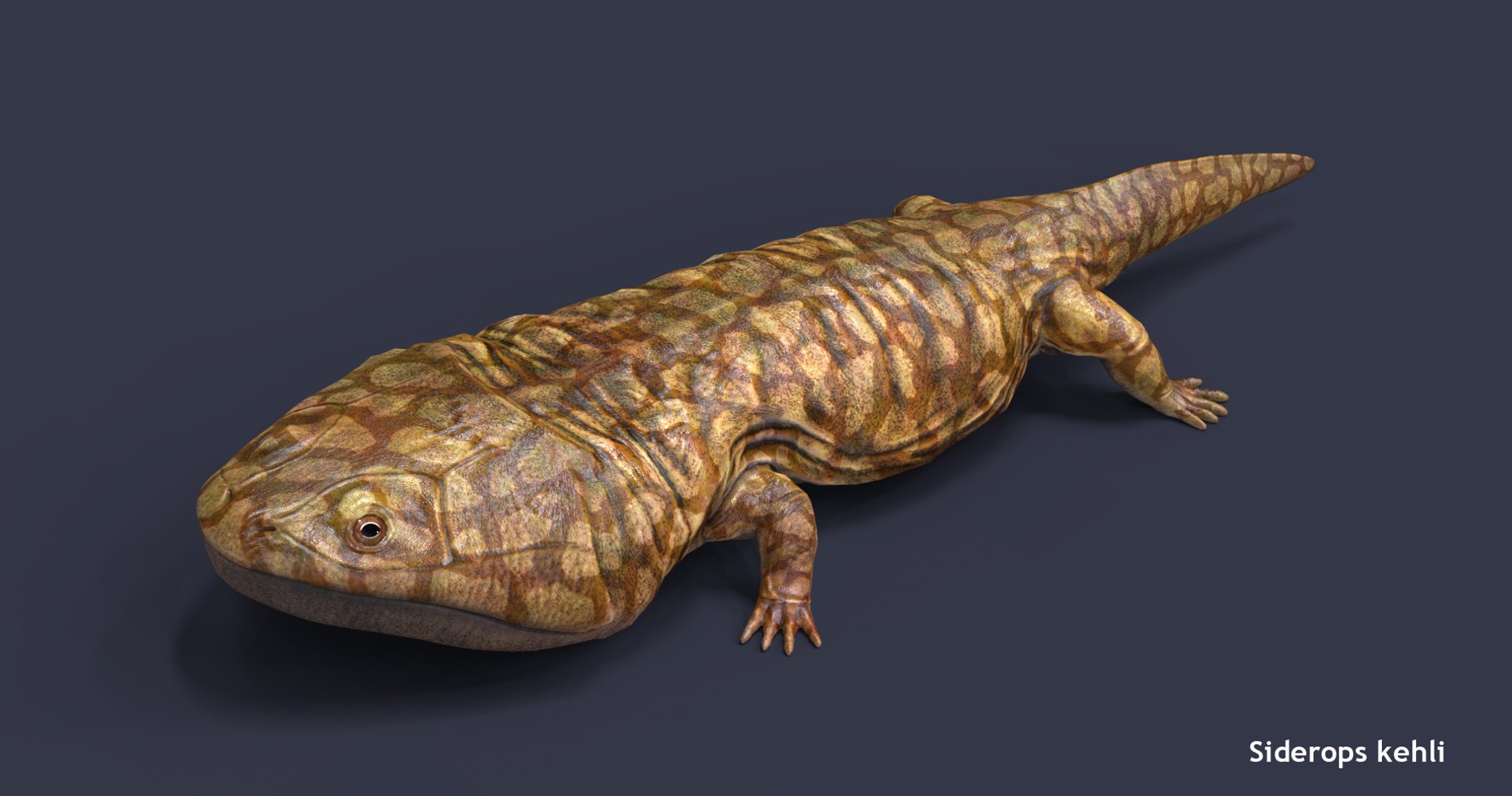 extinct animals version 8 3D https://p.turbosquid.com/ts-thumb/oA/UTm7l6/bRx9PudB/100/jpg/1585736661/1920x1080/fit_q87/bed77baeed0817c09658a64c69b13ca65cce48ae/100.jpg