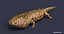 Extinct animals pack version 8