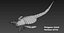 Extinct animals pack version 8
