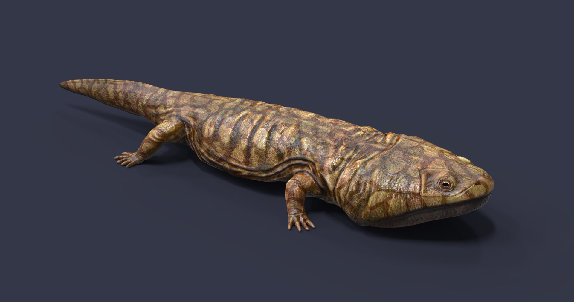 extinct animals version 8 3D https://p.turbosquid.com/ts-thumb/oA/UTm7l6/ceo9eBqu/101/jpg/1585736671/1920x1080/fit_q87/a4a31a094188b5d90de31670870d80a5803e51a4/101.jpg