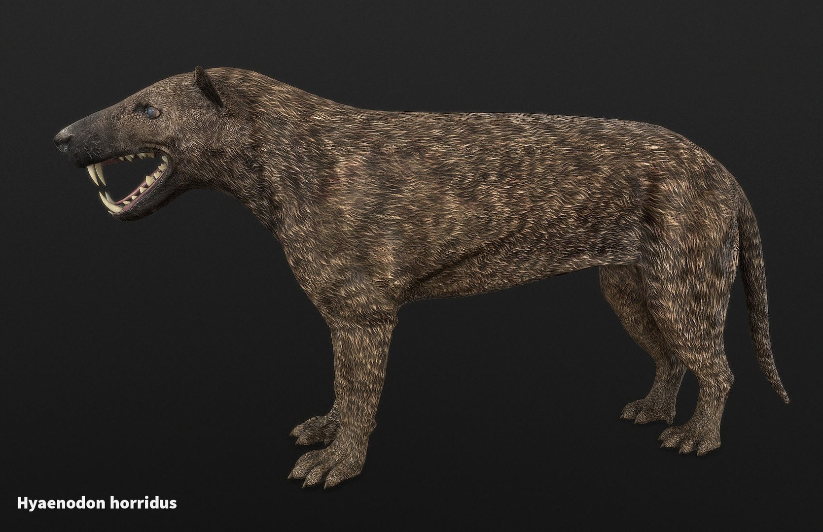 extinct animals version 8 3D https://p.turbosquid.com/ts-thumb/oA/UTm7l6/fV88exVd/12/jpg/1585734725/1920x1080/fit_q87/aa7c261e0a2326a8dd45f83ea29eedf0f460240c/12.jpg