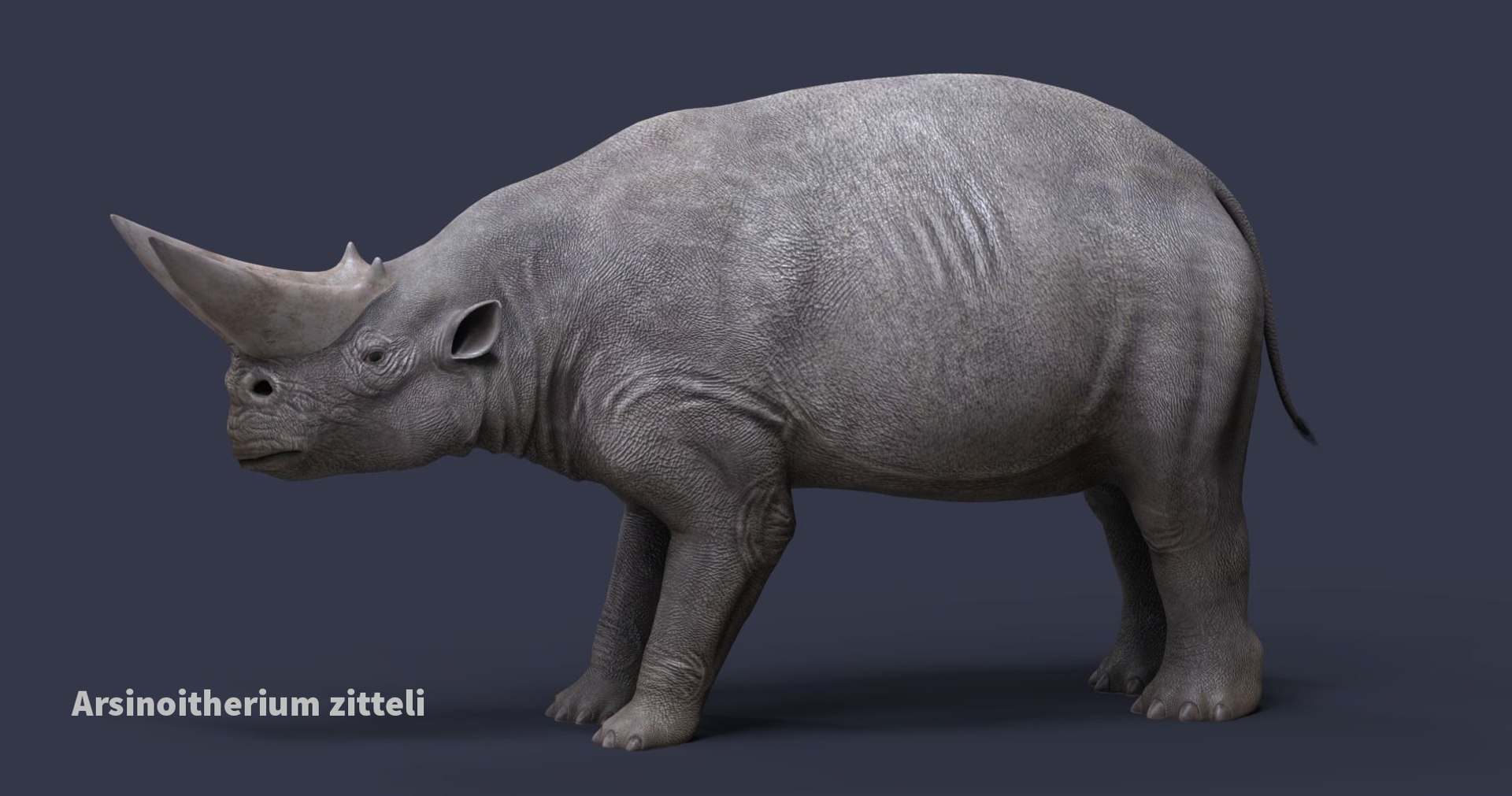 extinct animals version 8 3D https://p.turbosquid.com/ts-thumb/oA/UTm7l6/l2Sd4lPg/65/jpg/1585736255/1920x1080/fit_q87/3367d2061202b643c3e50982ce83d7047b2e99fb/65.jpg