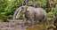Extinct animals pack version 8