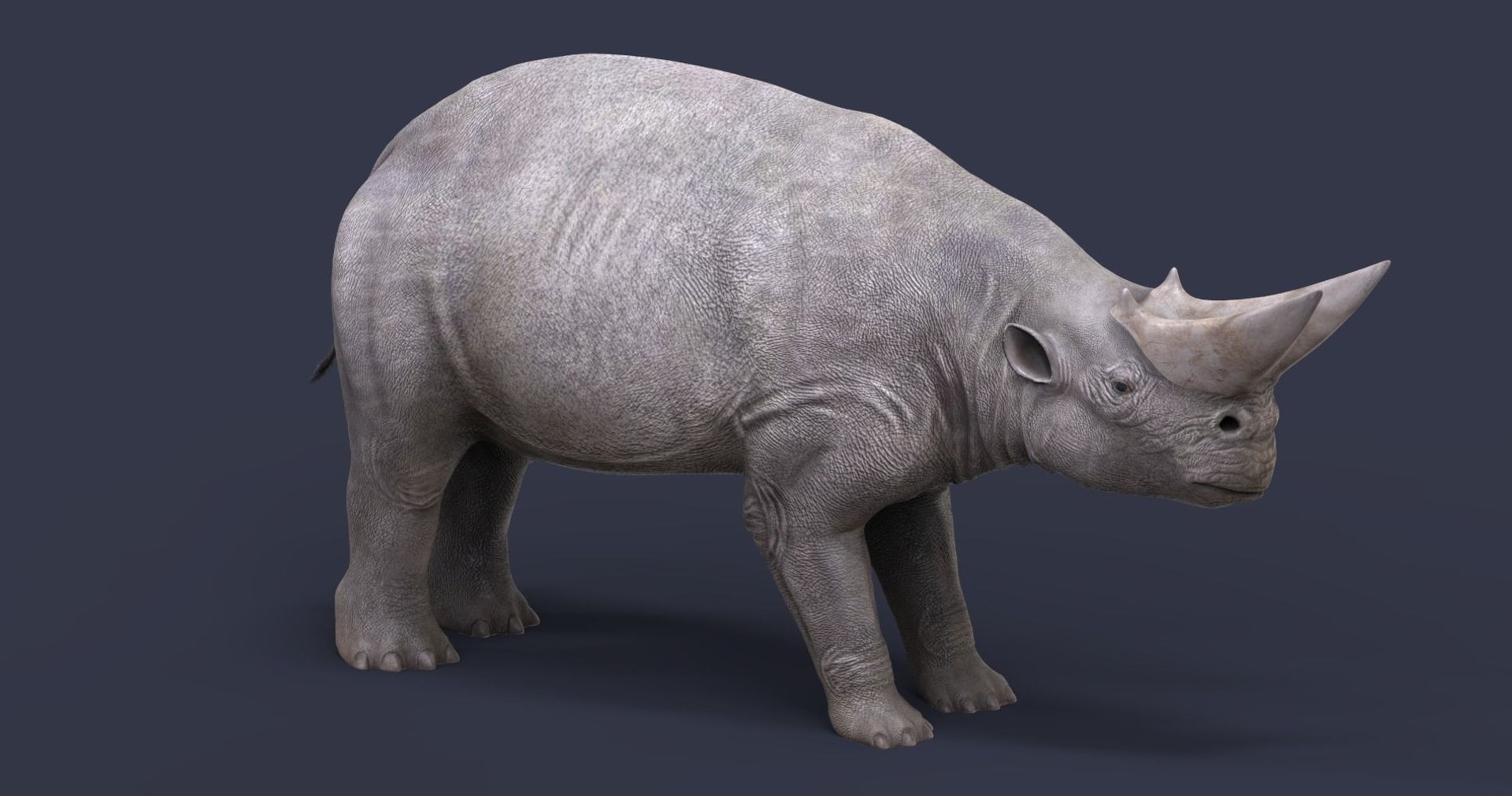extinct animals version 8 3D https://p.turbosquid.com/ts-thumb/oA/UTm7l6/ooNYlGmM/68/jpg/1585736290/1920x1080/fit_q87/5613ea7ae7f54b6d837e8a6dbb91a52e72bfee0a/68.jpg