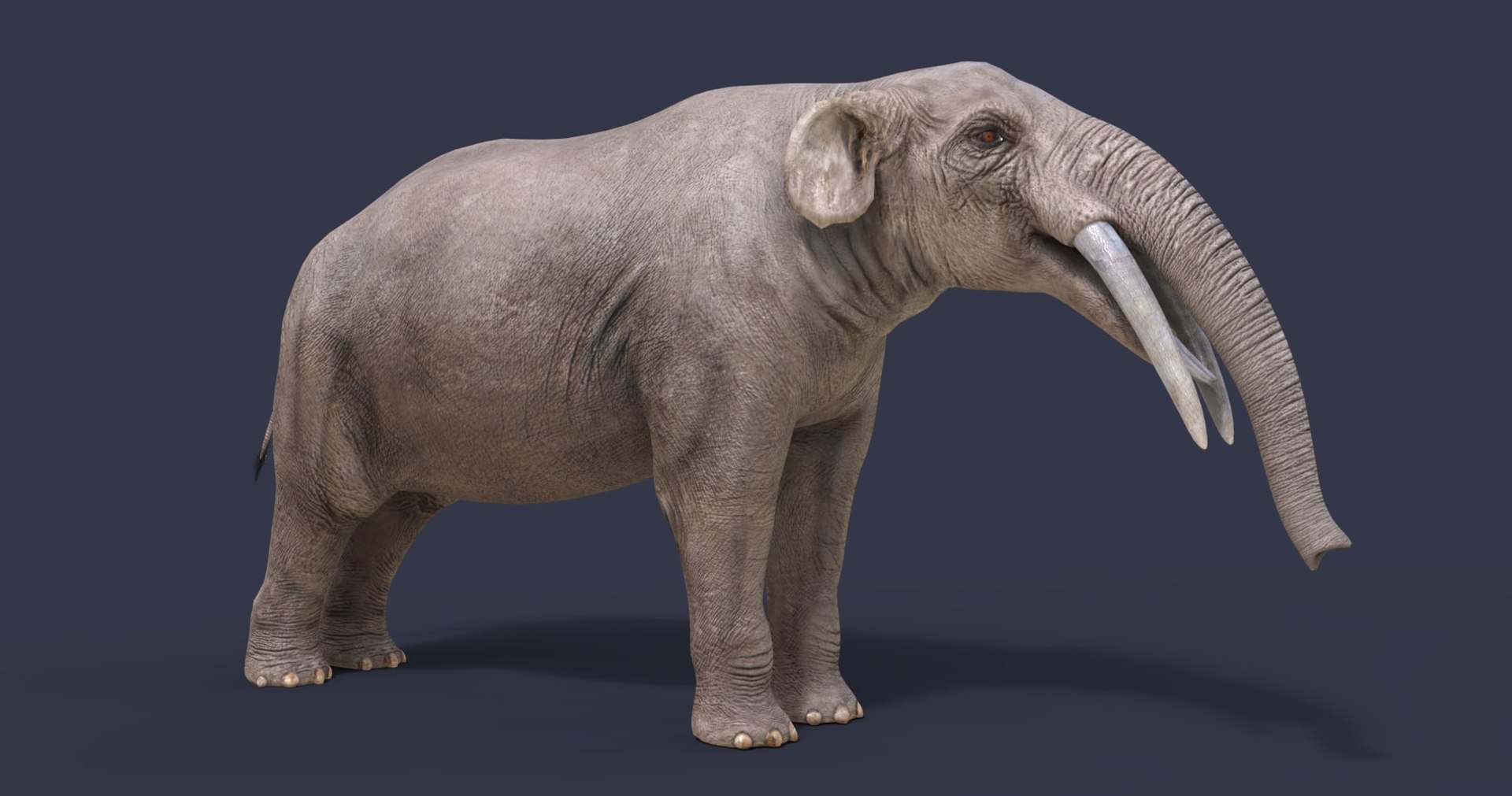 extinct animals version 8 3D https://p.turbosquid.com/ts-thumb/oA/UTm7l6/qqIjnNpp/20/jpg/1585734820/1920x1080/fit_q87/f0b1ad92212ecbbc1793e0715110d483a5ace67c/20.jpg