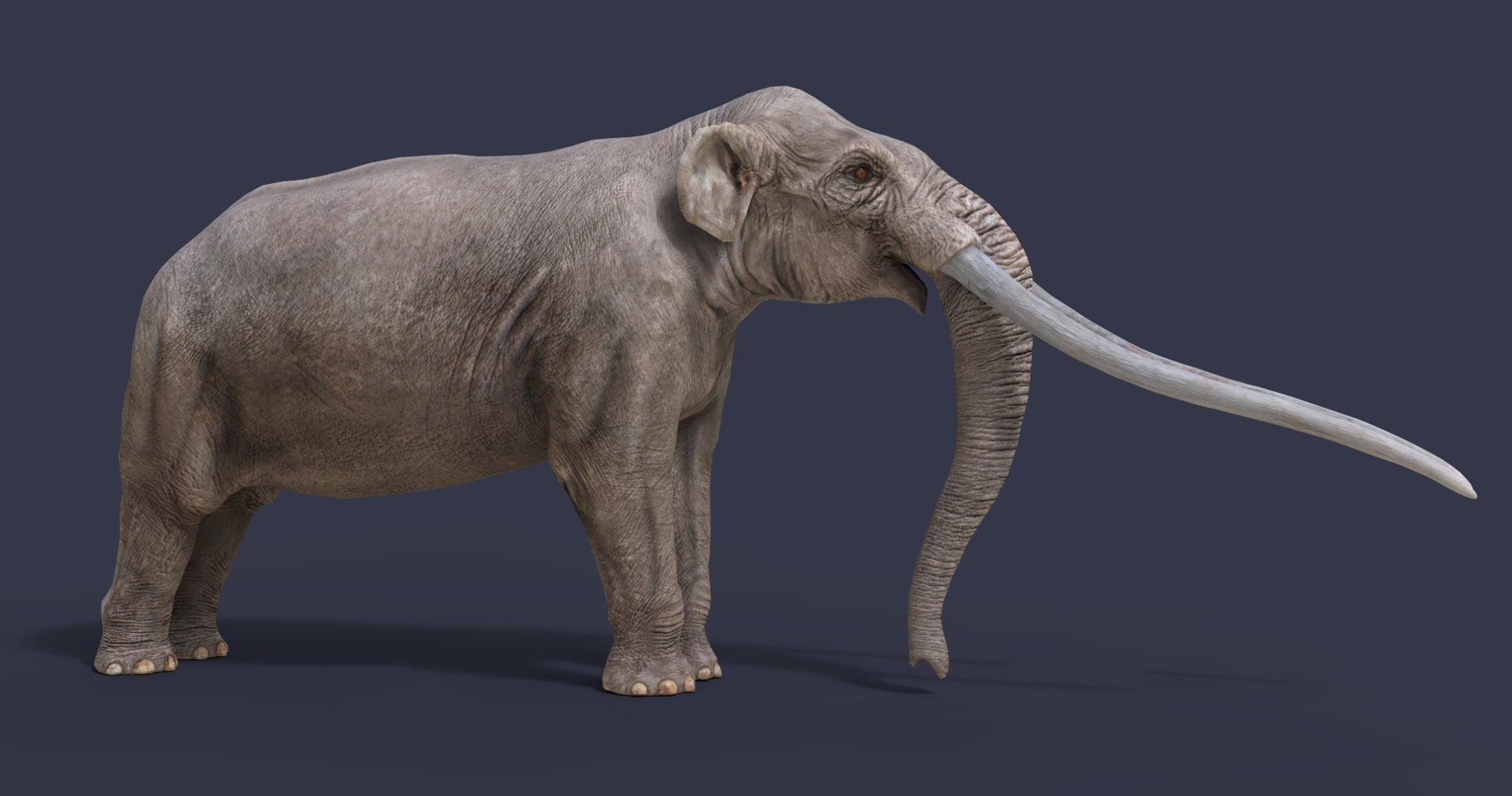 extinct animals version 8 3D https://p.turbosquid.com/ts-thumb/oA/UTm7l6/u94n6MCc/8/png/1585734666/1920x1080/fit_q87/ec73208a39135d321e117b2963aa4303c2d582c0/8.jpg