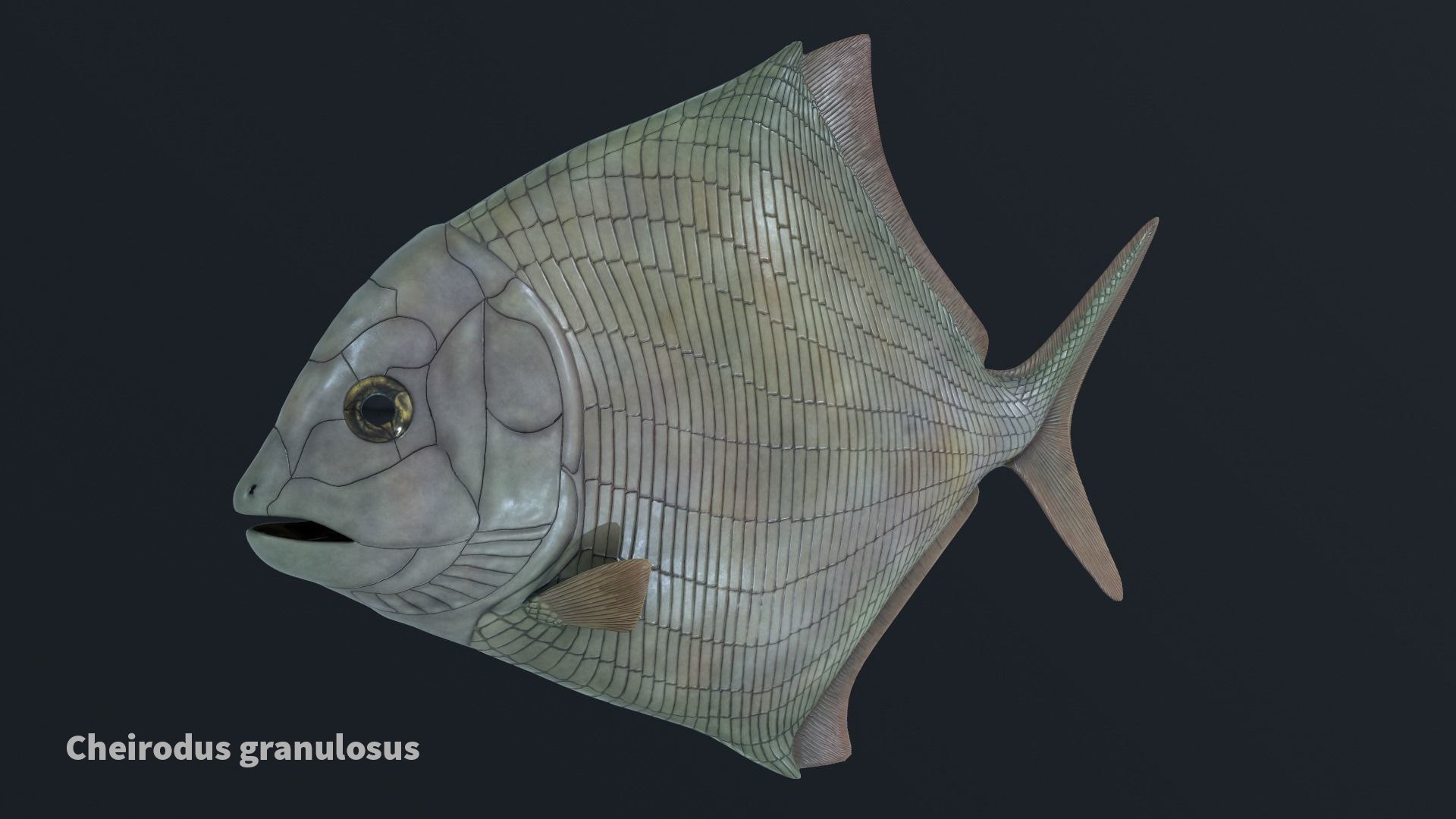 extinct animals version 8 3D https://p.turbosquid.com/ts-thumb/oA/UTm7l6/v2c6UOKs/47/jpg/1585736055/1920x1080/fit_q87/ac862a3c4fde429aea56dcce951f15d9572e88ef/47.jpg
