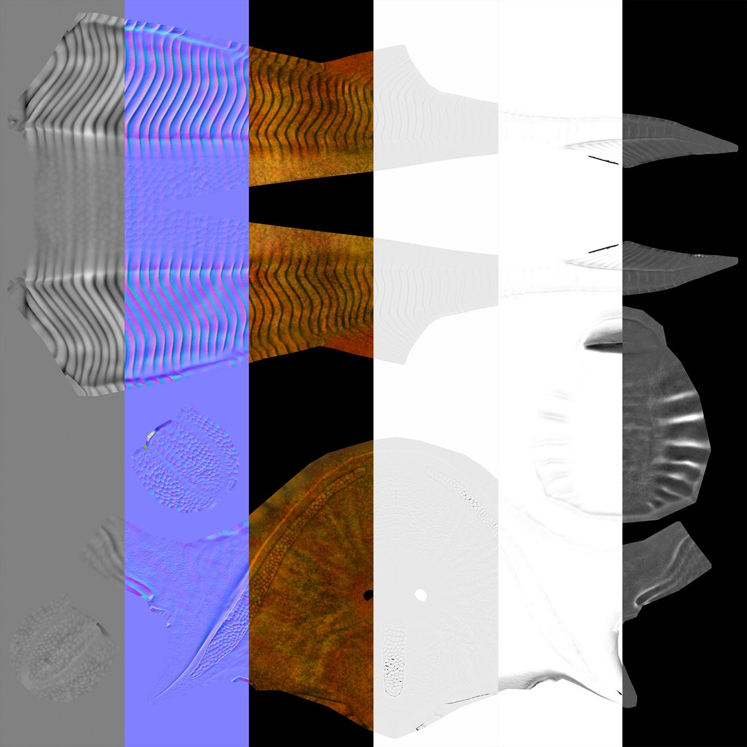 extinct animals version 8 3D https://p.turbosquid.com/ts-thumb/oA/UTm7l6/vRB5ND4g/124/jpg/1585737177/1920x1080/fit_q87/28b147e3c8eb97fb0fc629b96748afb662f01039/124.jpg