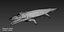 Extinct animals pack version 8
