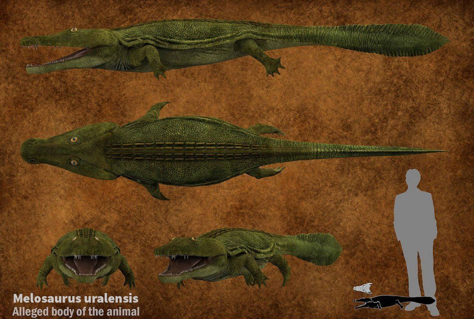 extinct animals version 8 3D https://p.turbosquid.com/ts-thumb/oA/UTm7l6/wZRbXw8E/38/jpg/1585735914/1920x1080/fit_q87/778a77d962fe8ade97b5217b6c9683d78673ecf1/38.jpg