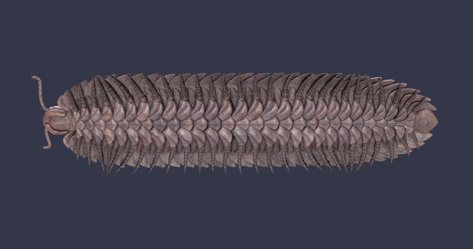 extinct animals version 8 3D https://p.turbosquid.com/ts-thumb/oA/UTm7l6/x2kRvelR/83/jpg/1585736479/1920x1080/fit_q87/fafdbb5deea940292ebf1e3d152a120e91a7ef1c/83.jpg