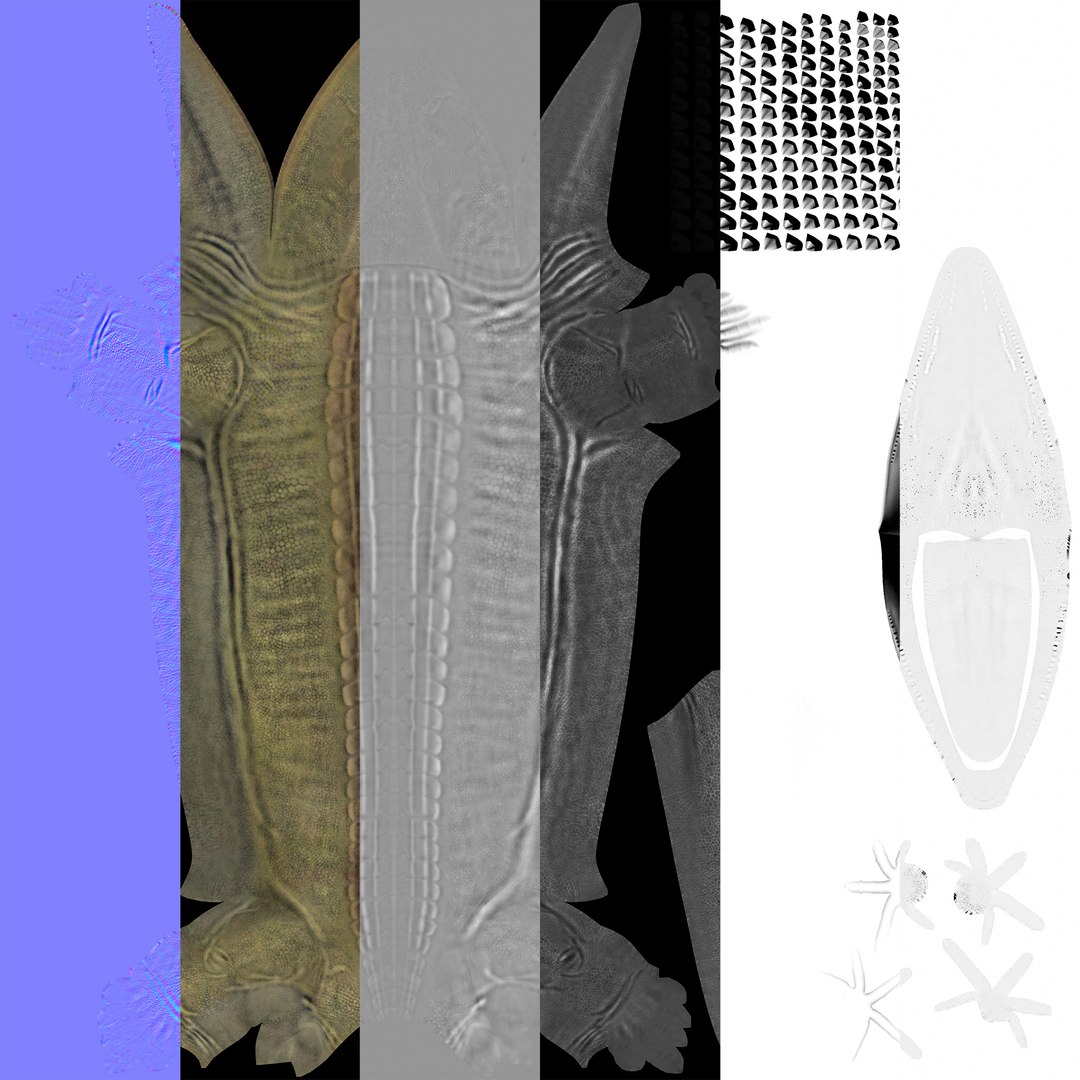 extinct animals version 8 3D https://p.turbosquid.com/ts-thumb/oA/UTm7l6/yBpVMmU8/116/jpg/1585737077/1920x1080/fit_q87/a770a11f54e76033bf323809d01641d6cb878695/116.jpg