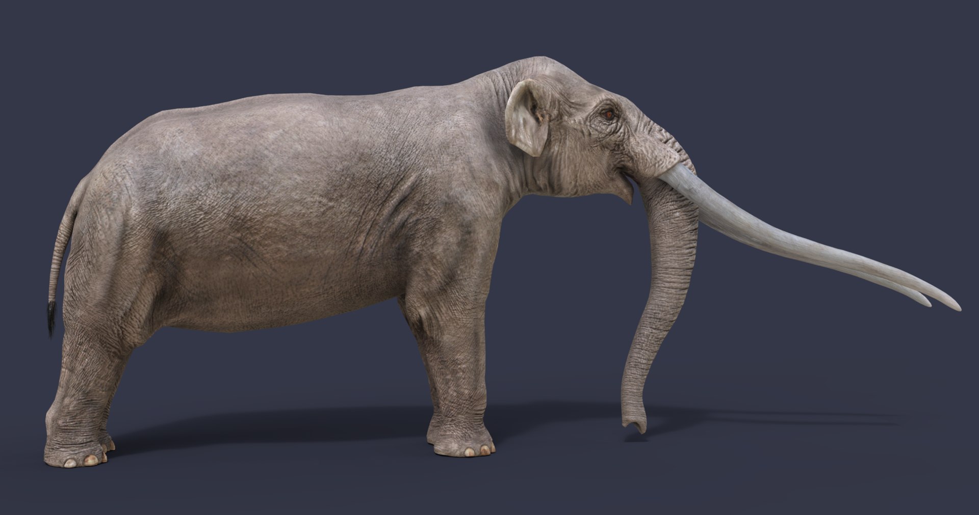 extinct animals version 8 3D https://p.turbosquid.com/ts-thumb/oA/UTm7l6/yVYW039x/9/png/1585734676/1920x1080/fit_q87/dac411f785a81354d67035be10f8529b1187950c/9.jpg