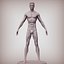 3D Man anatomy constructor transhumanist