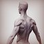 3D Man anatomy constructor transhumanist