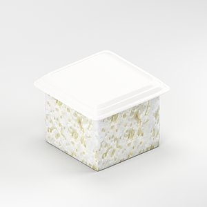 Square Plastic Food Storage Container with Lid