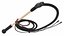 Leather Bullwhip Coiled Black Rigged for Cinema 4D