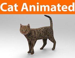 3D cat animations