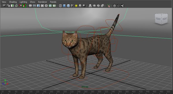 3D cat animations | 1142776 | TurboSquid