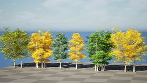 3D Aspen Trees 3D Model model
