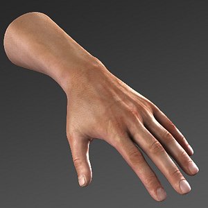 Hand_max8