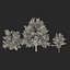 3d model summer red maple trees
