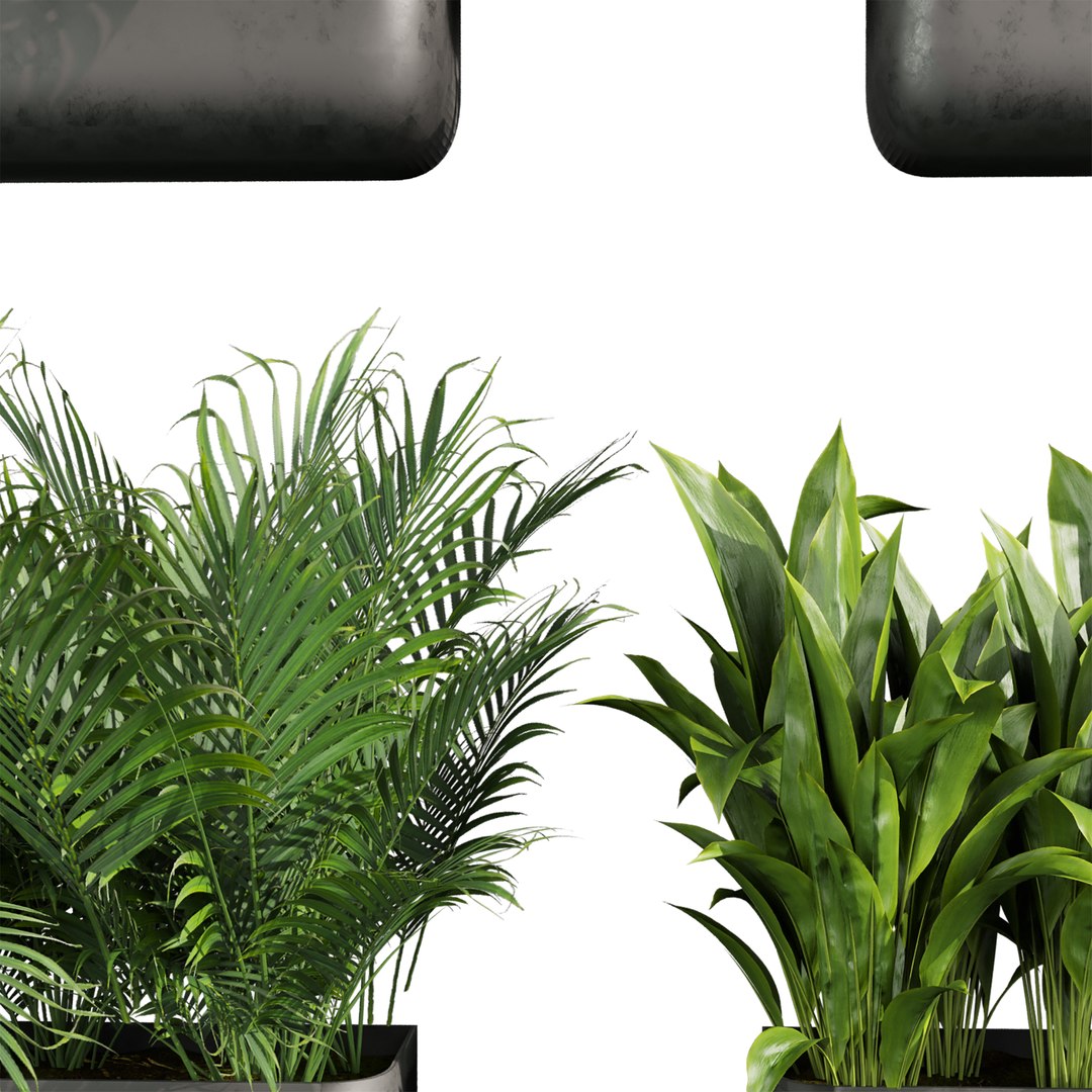 3D Collection plant vol 820 V-ray 6 max 2015 https://p.turbosquid.com/ts-thumb/oA/sHqzBN/FN/2/jpg/1767778467/1920x1080/fit_q87/01081da23b5abe915a29dd20502baab1ad9c901c/2.jpg