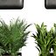 Collection Plant Vol. 820 V-Ray 6 Max 2015