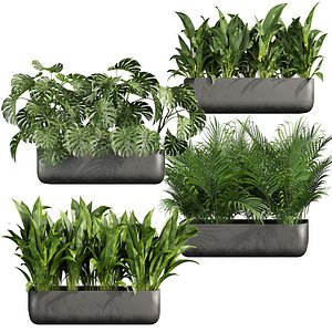 3D Collection plant vol 820 V-ray 6 max 2015