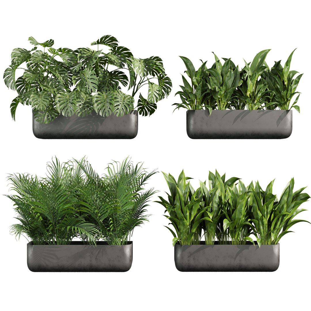 3D Collection plant vol 820 V-ray 6 max 2015 https://p.turbosquid.com/ts-thumb/oA/sHqzBN/OF/1/jpg/1767778466/1920x1080/fit_q87/bee23b9367a4461d420d9059c138055baf02546f/1.jpg