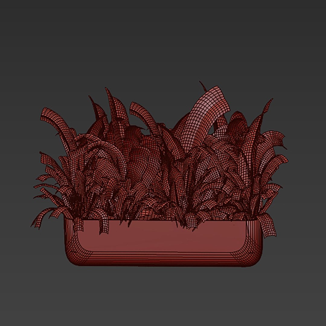 3D Collection plant vol 820 V-ray 6 max 2015 https://p.turbosquid.com/ts-thumb/oA/sHqzBN/oq/6/jpg/1767778469/1920x1080/fit_q87/483f5261c0e8bc7d67d401caddb53072b518816a/6.jpg