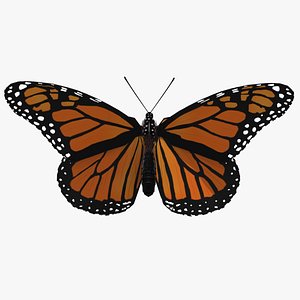 Monarch butterfly