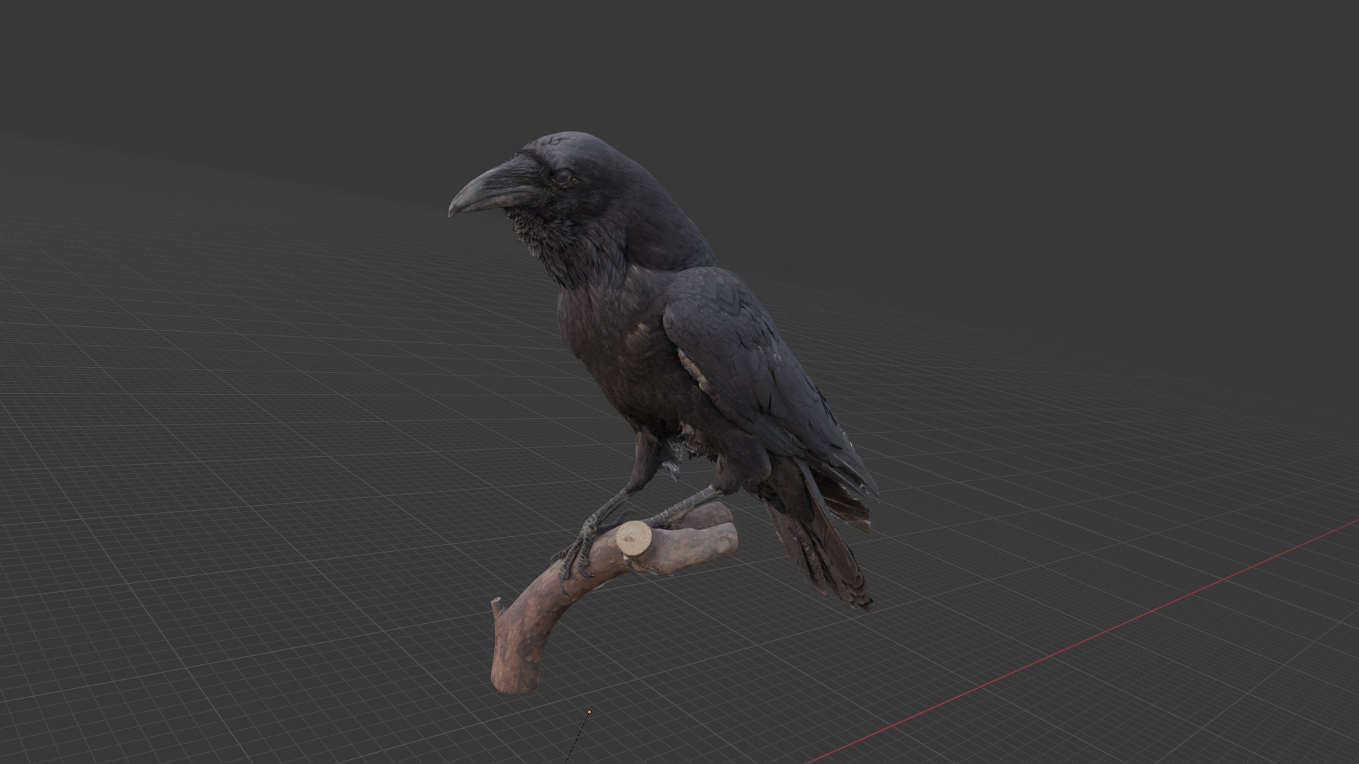 3D Raven Model - TurboSquid 2369628