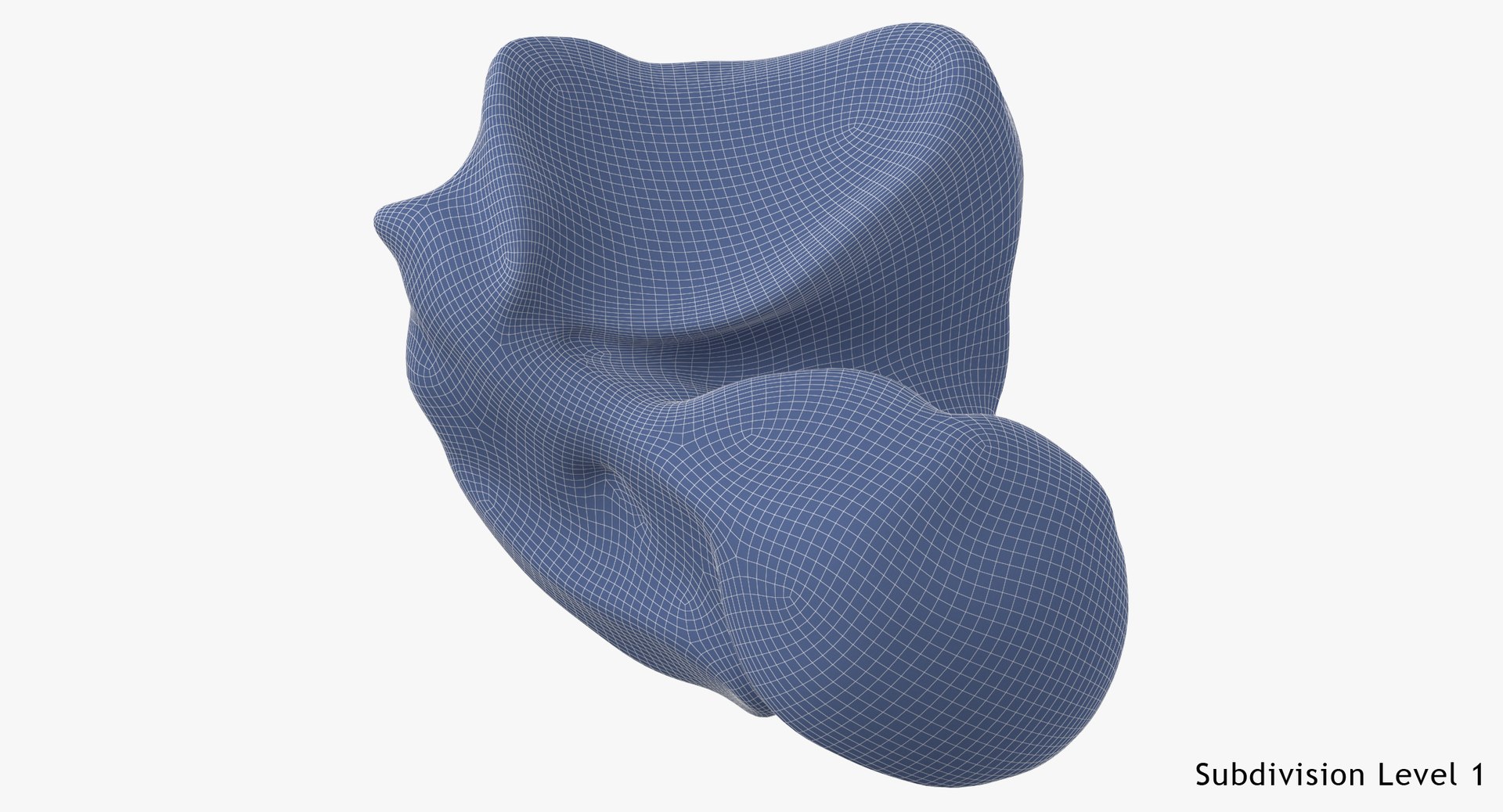 talus bone 01 model https://p.turbosquid.com/ts-thumb/oB/Xybtsl/WdsgKFT9/talus_bone_01_wsubdiv1_0001/jpg/1585899069/1920x1080/fit_q87/19fd4f911298439536bf0cf754318fcd9fc1a902/talus_bone_01_wsubdiv1_0001.jpg