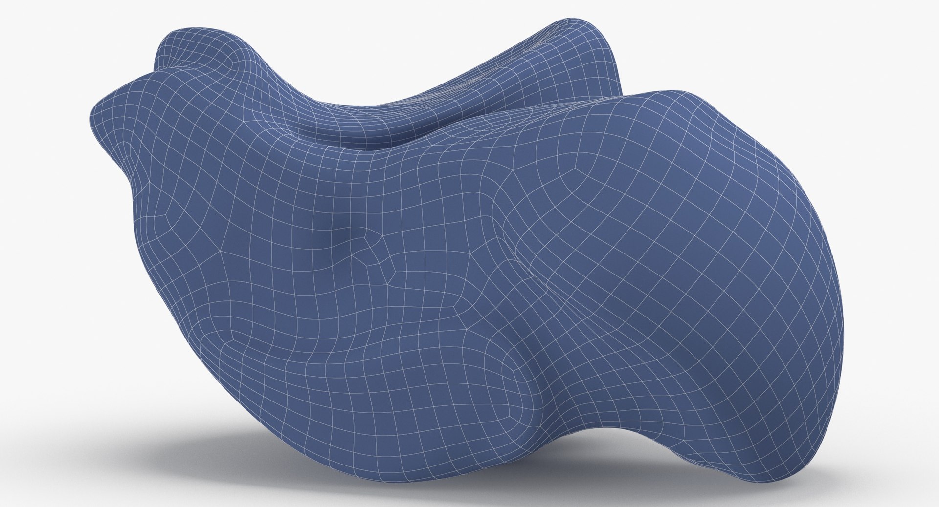 talus bone 01 model https://p.turbosquid.com/ts-thumb/oB/Xybtsl/gkjvSwSf/talus_bone_01_wireframe_0005/jpg/1585899068/1920x1080/fit_q87/5d54dd66424172cdce13b9bd8582071cc0a4f5e1/talus_bone_01_wireframe_0005.jpg