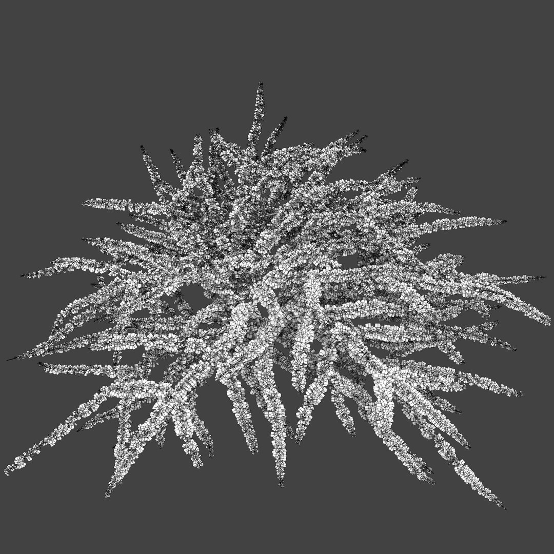 berberis green carpet model https://p.turbosquid.com/ts-thumb/oB/auZ4Is/xnia7b5I/3/jpg/1543521697/1920x1080/fit_q87/1bc4bef0524a83b338f94f8bc3c12711540e174e/3.jpg