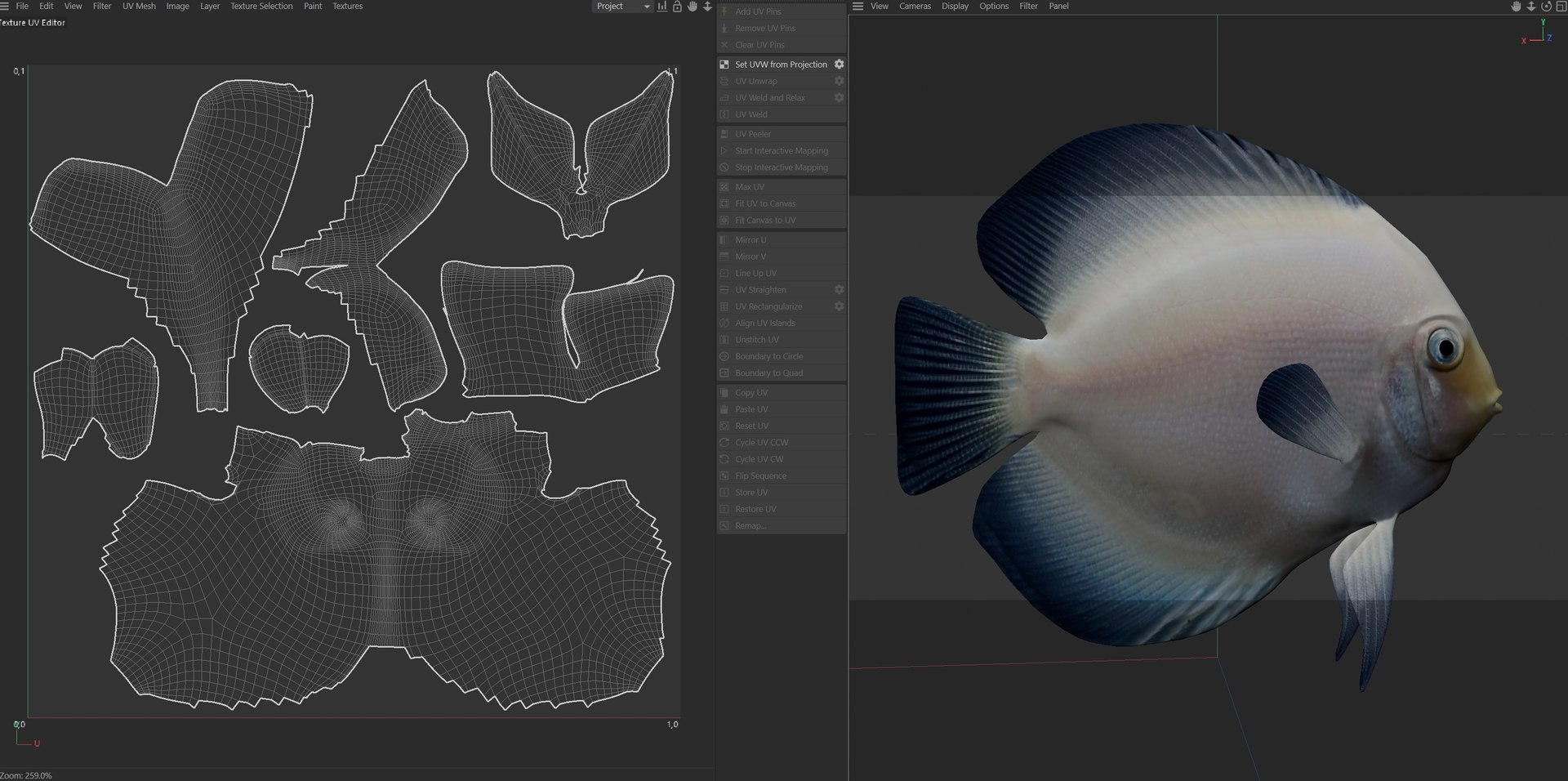 White Discus Fish 3D model https://p.turbosquid.com/ts-thumb/oB/bMyGqu/1o/uv/jpg/1774437655/1920x1080/fit_q87/884f0db26b5ac606a3b718a2c05810ac65a192e1/uv.jpg