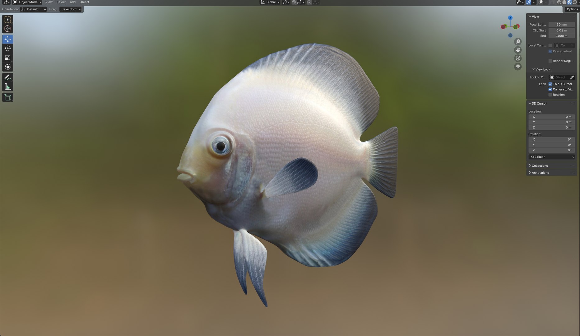 White Discus Fish 3D model https://p.turbosquid.com/ts-thumb/oB/bMyGqu/uD/6/jpg/1774437656/1920x1080/fit_q87/bce8ec641105412b1dad5c78668af39b979f2811/6.jpg
