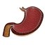 Human Stomach