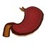Human Stomach