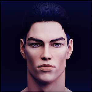 Night sky Phoenix head 3D model