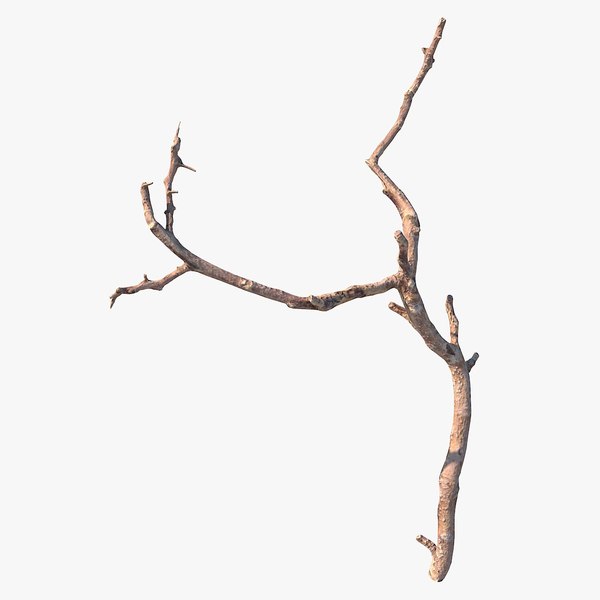 Twig Scanned 19 3D