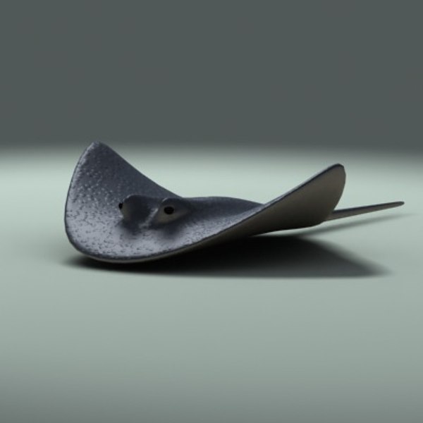 Скат 3 д. Скат 3 д. Модель касатки для 3 д принтера. Скат 3 д. Голубой пятнистый скат.