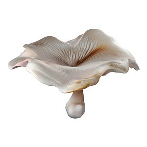 Mushroom 8 3D