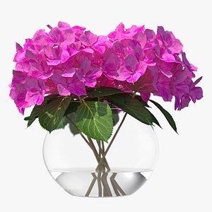 Hydrangea Macrophylla Pink Annabelle in Glass Vase