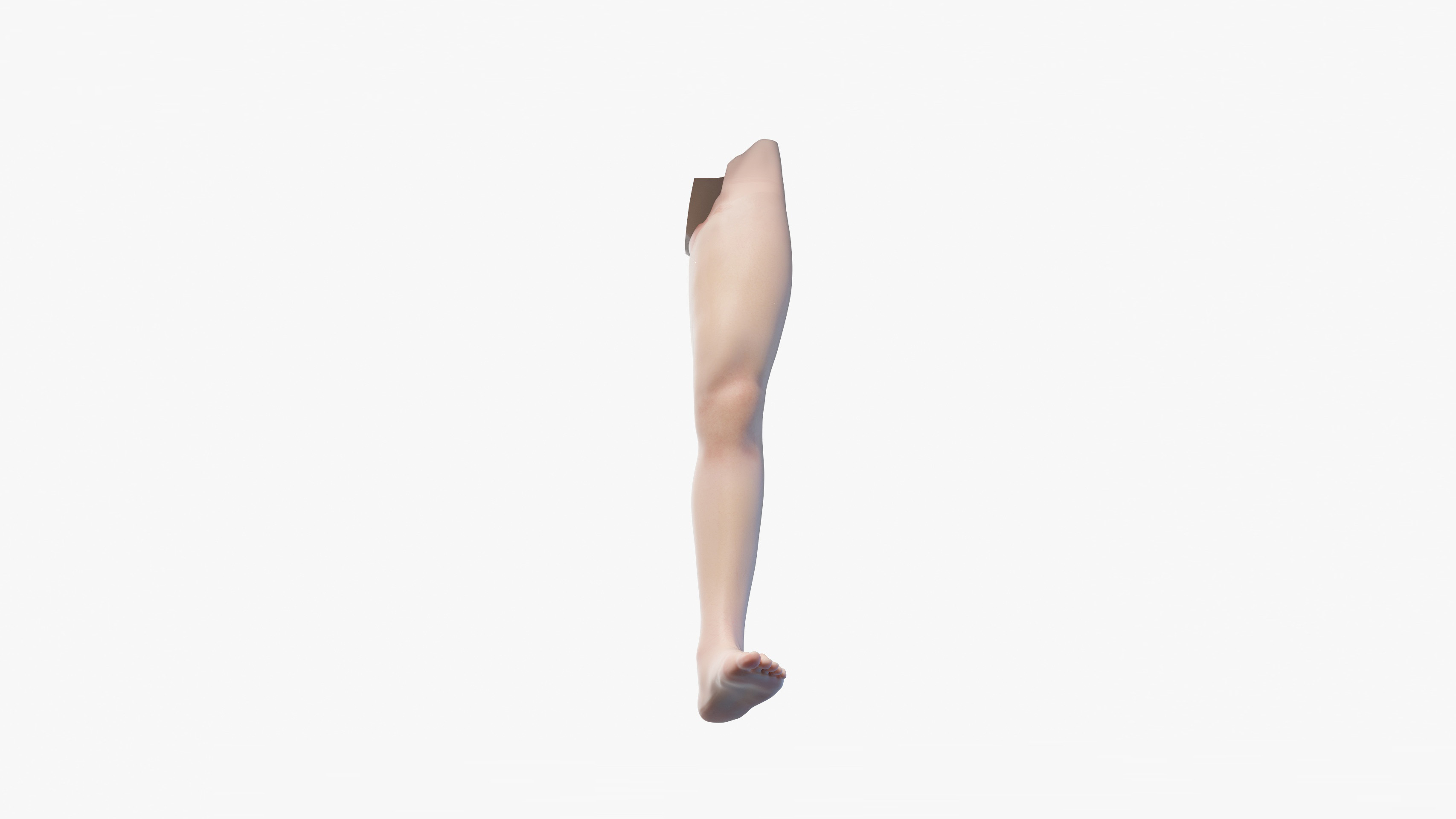 Human Male Leg Anatomy 3D model - TurboSquid 1737958