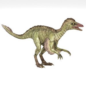 Realistic Feathered Troodon Dinosaur 3D